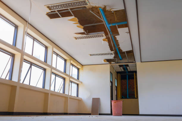 Best Fire Damage Restoration  in George West, TX