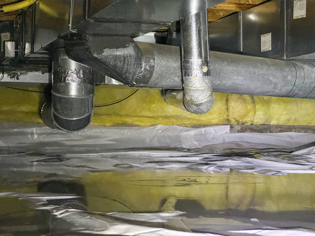 Best Local water damage restoration  in George West, TX